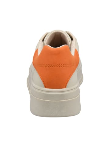 TT. BAGATT Sneaker in beige