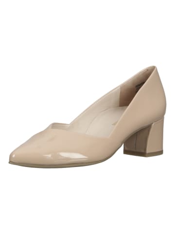 Paul Green Pumps in Beige Lack