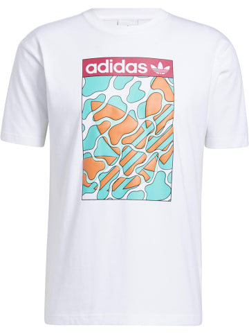 adidas T-Shirts in white