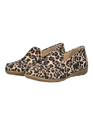 Gabor Slipper in Leopard