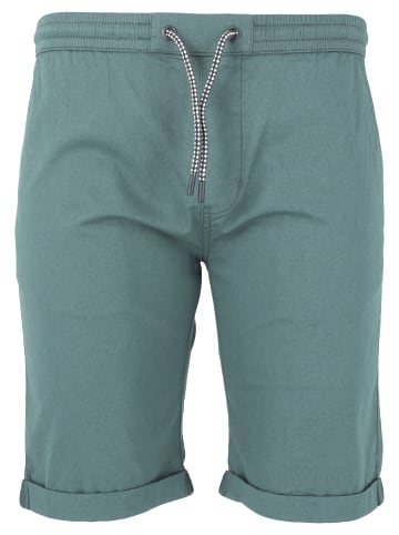 Cruz Shorts Gilchrest in 2189 Cameo Blue