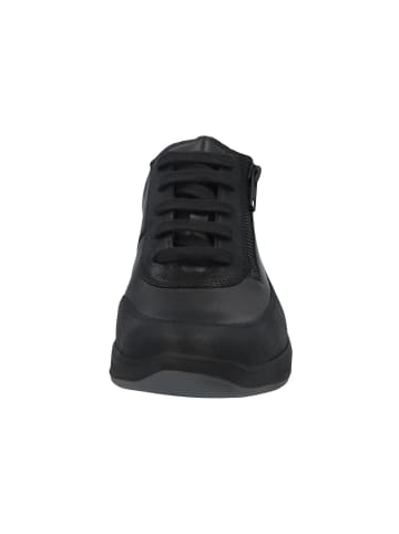 Solidus Sneaker Low in schwarz
