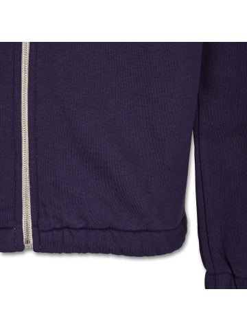 MANITOBER Cut & New Sweatjacke in Lilac/Green/Navy