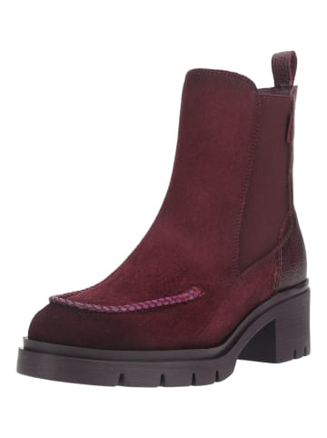 Hispanitas Stiefelette CHICAGO-6 CHICAGO-6 in Bordeaux