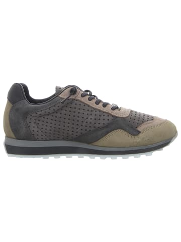 Cetti Sneaker in khaki