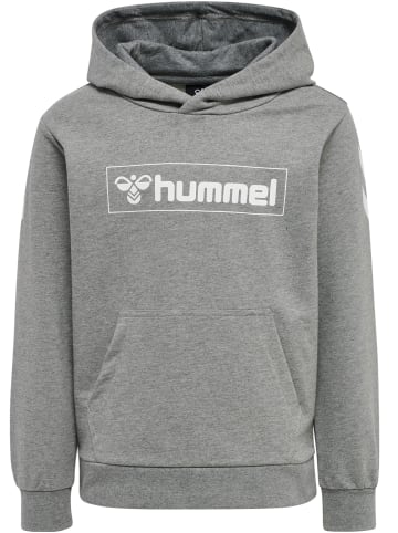 Hummel Hoodie Hmlbox Hoodie in MEDIUM MELANGE