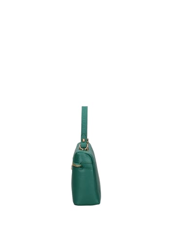 Chiara Ferretti Handtasche in JADE