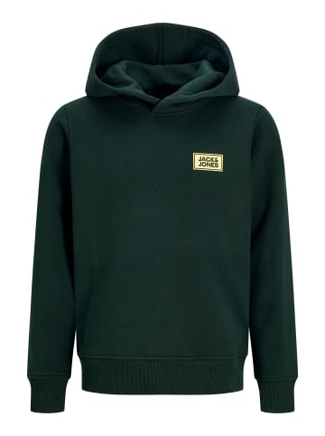 JACK & JONES Junior Kapuzenpullover in Scarab