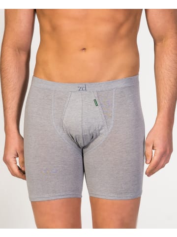 ZD ZERO DEFECTS Boxer "Cyclist" in Grau