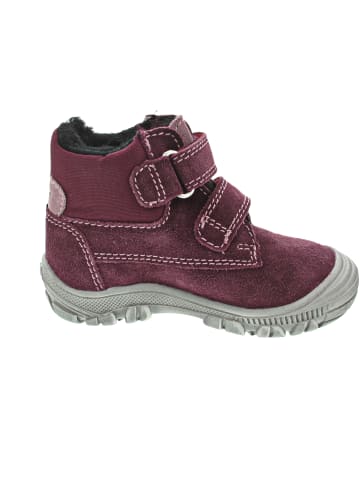 RICHTER Lauflern Violett