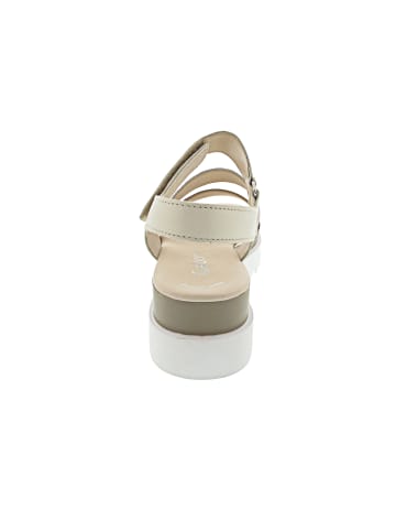 Gabor Sandale Beige