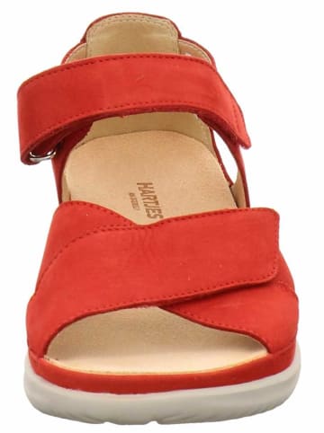 Hartjes Komfort Schnürschuh in rot