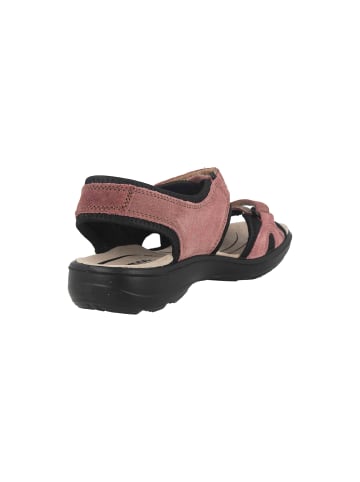 Jomos Sandalen in Rose