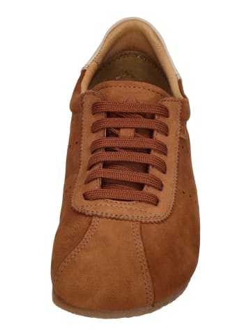 El Naturalista Schnürschuhe ONDINA N5935 in braun