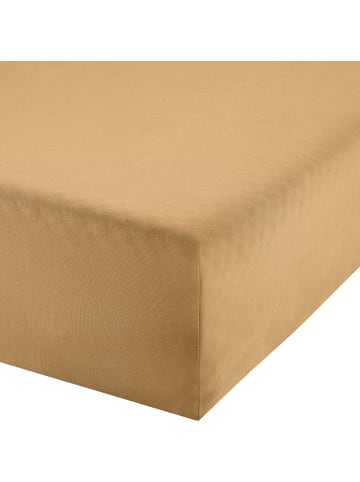 Erwin Müller Single-Jersey Boxspringbett-Spannbettlaken Freising in beige
