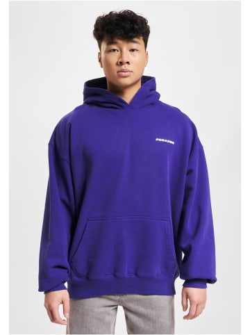 PEGADOR PEGADOR Kapuzenpullover in washed endless blue