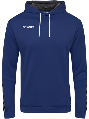 Hummel Hummel Hoodie Hmlauthentic Multisport Herren in TRUE BLUE