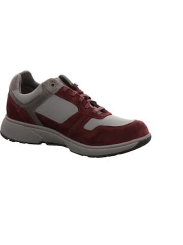 Xsensible Sneaker Low in rot