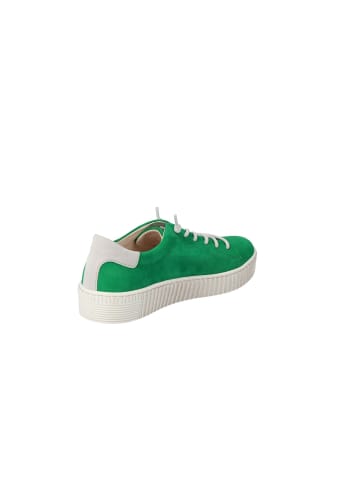 Gabor Lowtop-Sneaker in verde/neve/beige