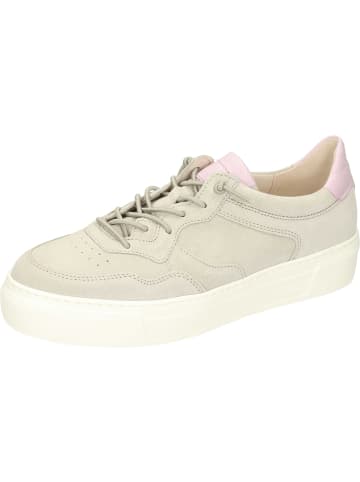 Gabor Sneakers Low in neve/flieder