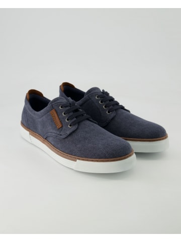 Pius Gabor Sneaker low in Blau