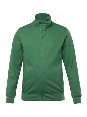 Boston Park Sweatjacke in mineralgrün