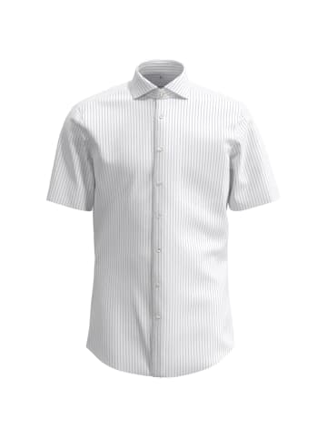 Seidensticker Business Hemd Regular in Hellblau