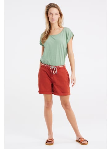 Protest " PRTNICE in Green Baygreen