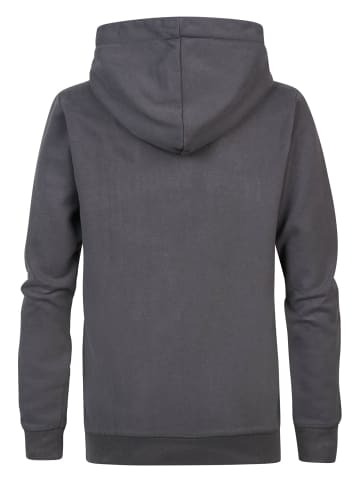 Petrol Industries Hoodie mit Aufdruck Schaumburg in Grau