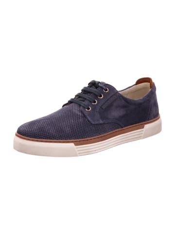 Pius Gabor Sportliche Schnürschuhe in Blau