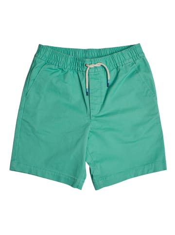 GAP Shorts in Green
