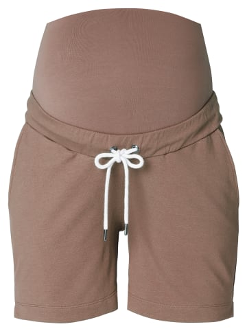 Noppies Umstandsshorts Helena in Pine Bark