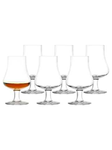 Stölzle 6er Set Whiskygläser Nosing Glass 195 ml in transparent