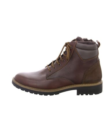 ara Stiefeletten für Damen in braun