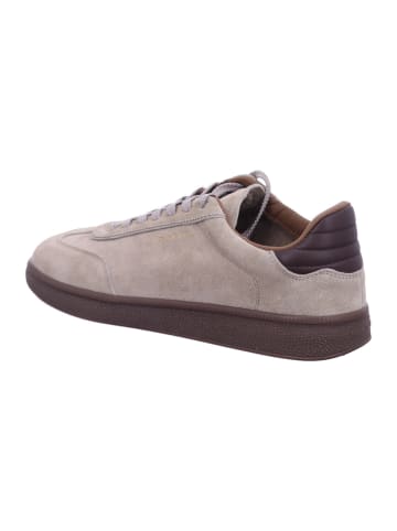 Gant Sneaker in taupe