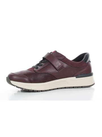 Sneaker in Wine