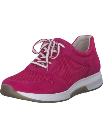 Gabor Sneakers Low in FUXIA