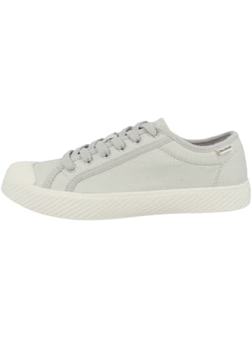 Palladium Sneaker low Pallaphoenix OG Canvas in grau