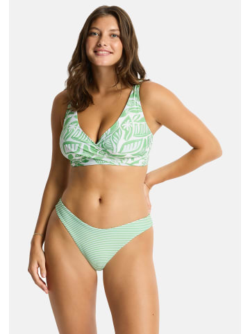 Sea Level Reef Unterteile in Matcha