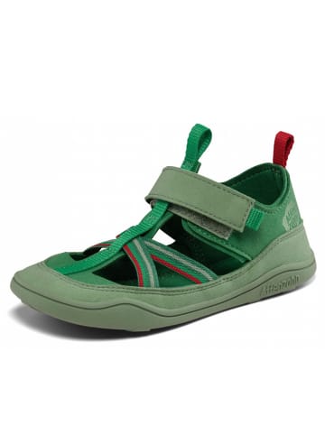 Affenzahn Sandale Breeze Frosch in Grün