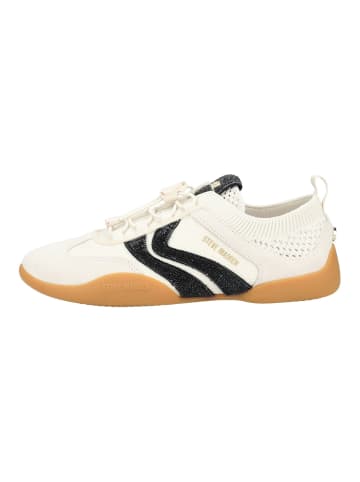 Steve Madden Sneaker in Weiß/Schwarz