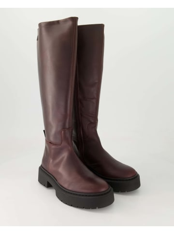 Steve Madden Klassische Stiefel in Bordeaux