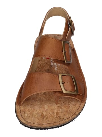 KOEL Sandalen ADA in braun