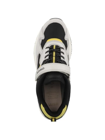 Geox Sneaker low J Rooner B. C in grau