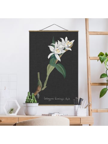 WALLART Stoffbild mit Posterleisten - Weiße Orchidee auf Leinen II in Schwarz