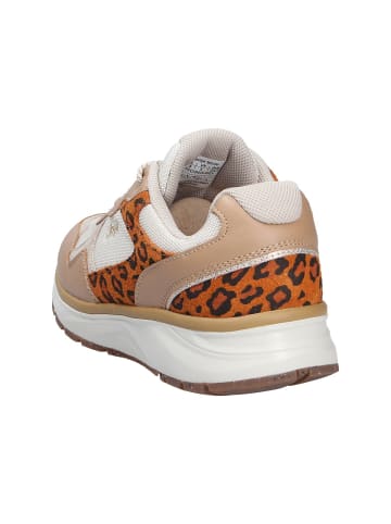 Joya Schnürschuh TINA III BEIGE/WHITE in beige