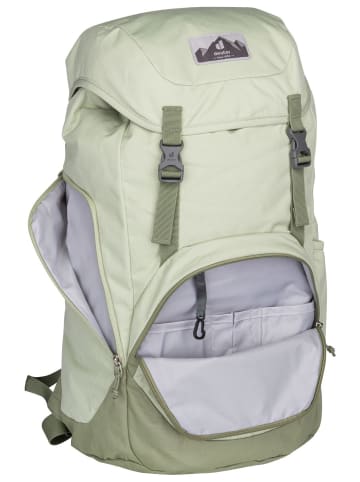 Deuter Rucksack Walker 24 in Mineral/Grove