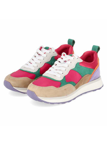 Tamaris Schnürhalbschuh in mehrfarbig