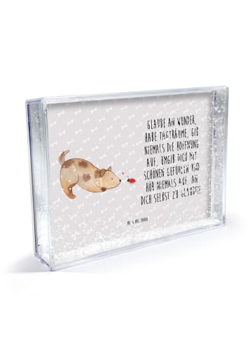 Mr. & Mrs. Panda Bilderrahmen Hund Marienkäfer mit Spruch in Grau Pastell