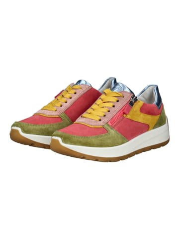ara Sneaker in Grün